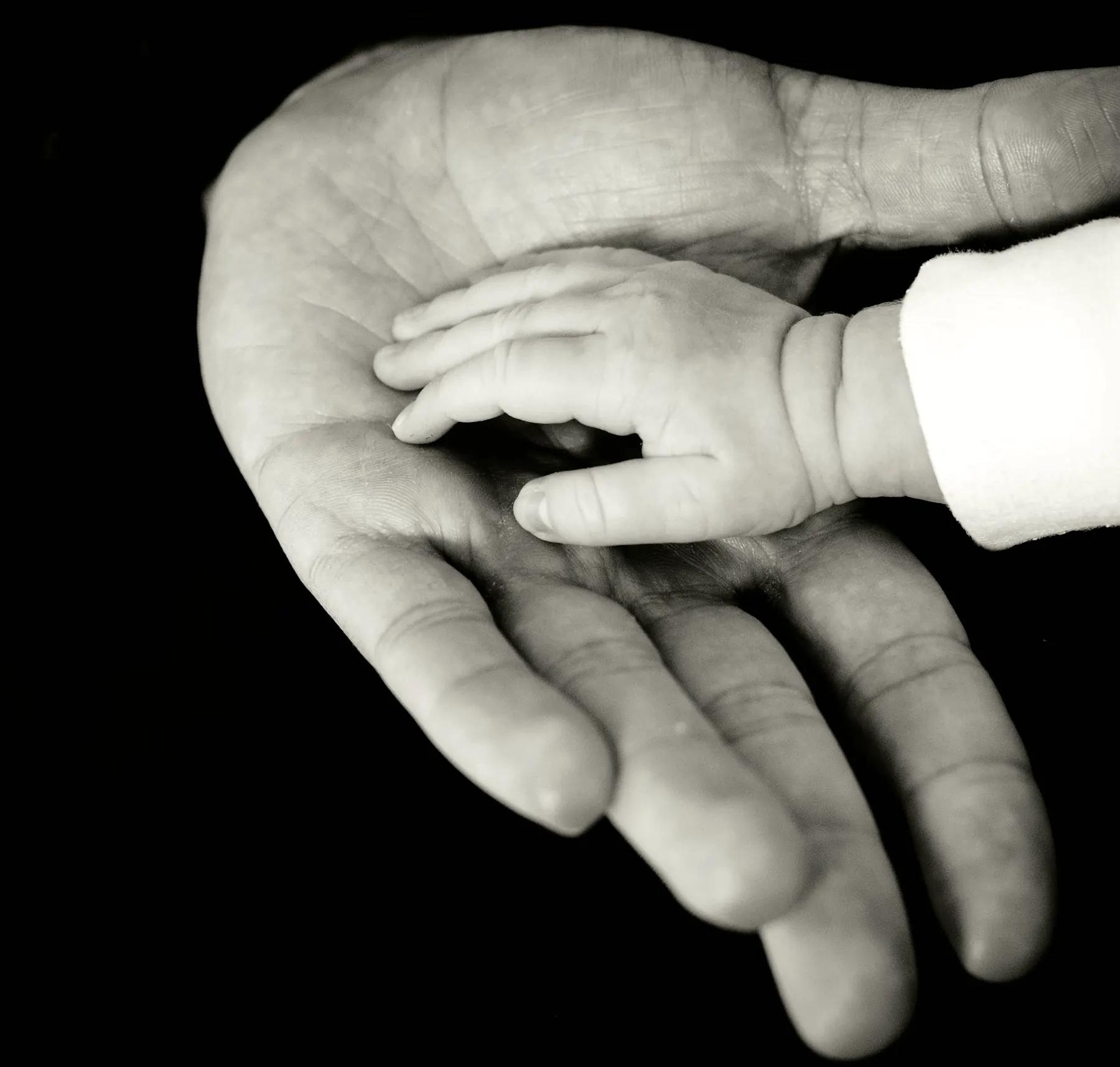 Main d’un bébé posée dans la main d’un parent
